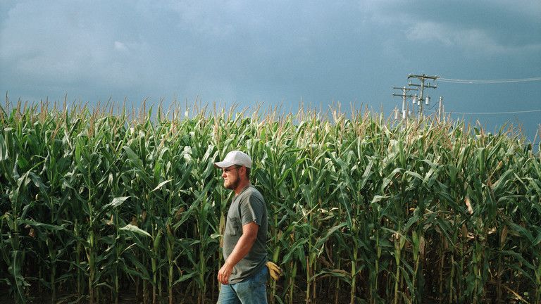 Francúzsko bude žať najhoršiu úrodu kukurice za posledné desaťročia – Bloomberg