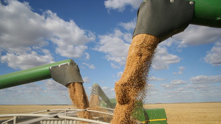 Rusko zvyšuje export poľnohospodárskych produktov