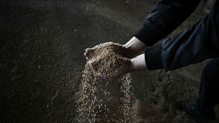 Slovensko: Krajina EÚ odhaľuje straty z ukrajinského dovozu obilia