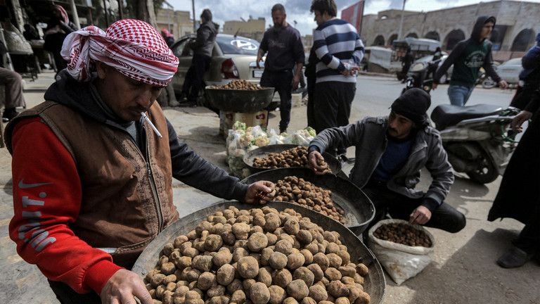 V Sýrii ISIS zabila desiatky ľudí, ktorí zbierali hľúzovky huby – médiá