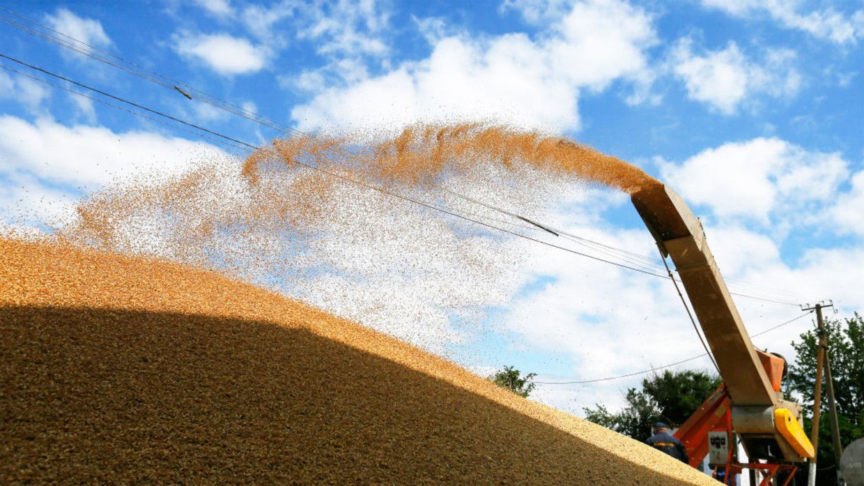 Ako by zastavenie dovozu obilia z Ukrajiny do EÚ mohlo ohroziť globálne dodávky potravín