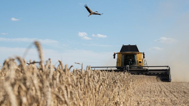 Väčšina ukrajinského obilia sa nedostane do Afriky - taliansky minister obrany