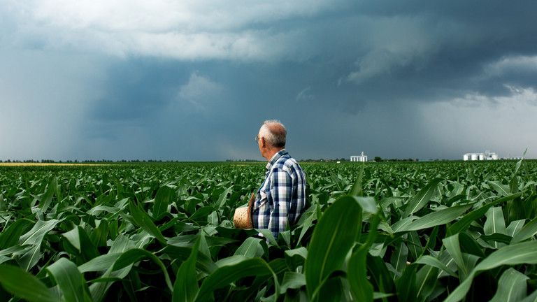 Členstvo Ukrajiny v EÚ ohrozuje farmárov – Poľsko