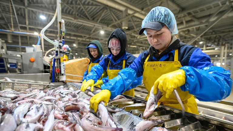 Vývoz morských plodov z Ruska prudko stúpa