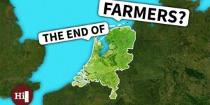 How the Dutch are Destroying their Agricultural Sector